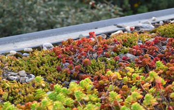 the cost of Santon Downham green roof installation