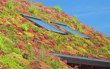 Santon Downham living roof systems