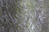 Santon Downham fibreglass roof work